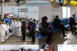 同心协力齐抗疫    文化大餐掌上见