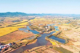 距今约5600年至5300年！湖北荆门屈家岭发现长江中游最早旱作物粟遗存