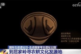 国际古迹遗址日｜到屈家岭寻农耕文化发源地 古老农耕文明赋能乡村振兴