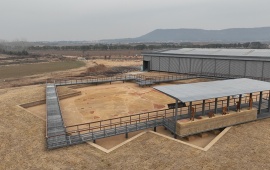 建筑遗迹展示区